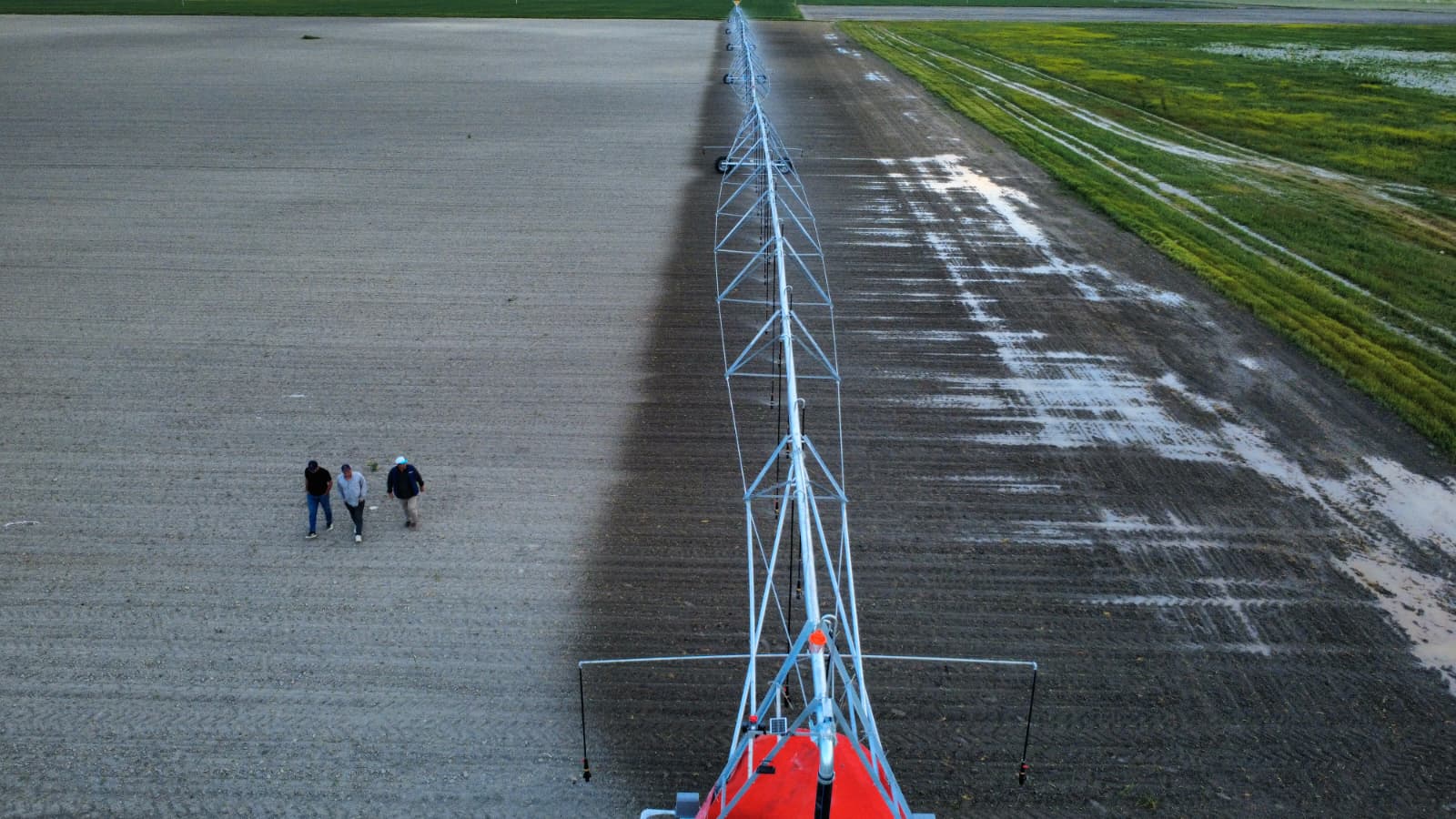 In the field next to the drive cart of the irrigation system